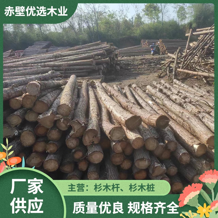 树木固定杆 工地打桩木 桥梁木桩 城市绿化杉木