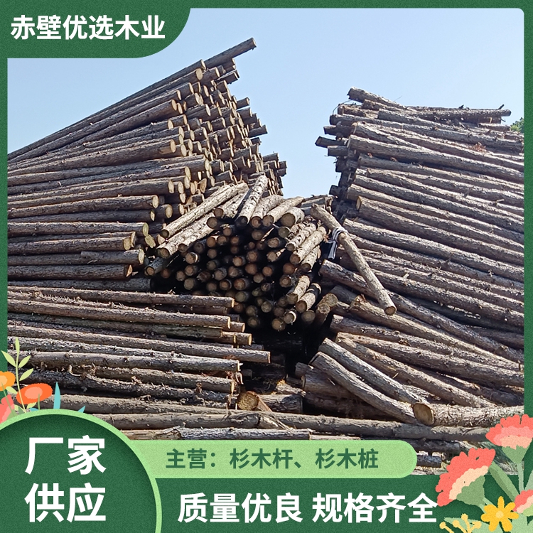 江蘇杉木 園林綠化支撐架 打樁木 松木桿