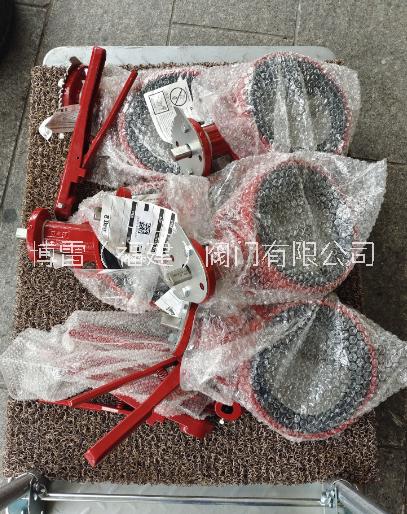 博雷S30手动对夹式蝶阀，BRAY对夹式蝶阀