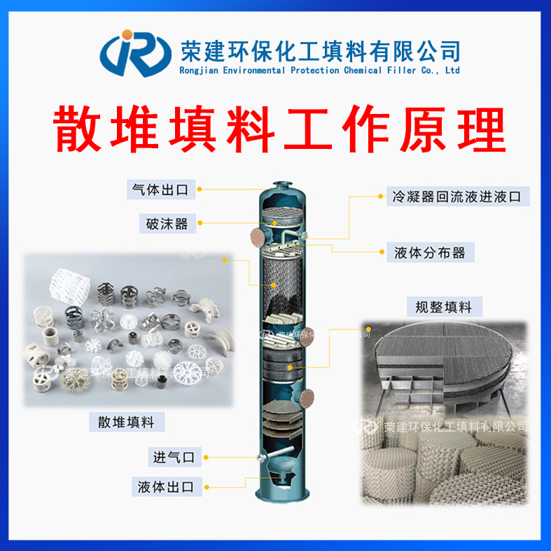 聚丙烯塑料矩鞍环填料 喷淋塔塑料马鞍环 cpvc矩鞍环填料