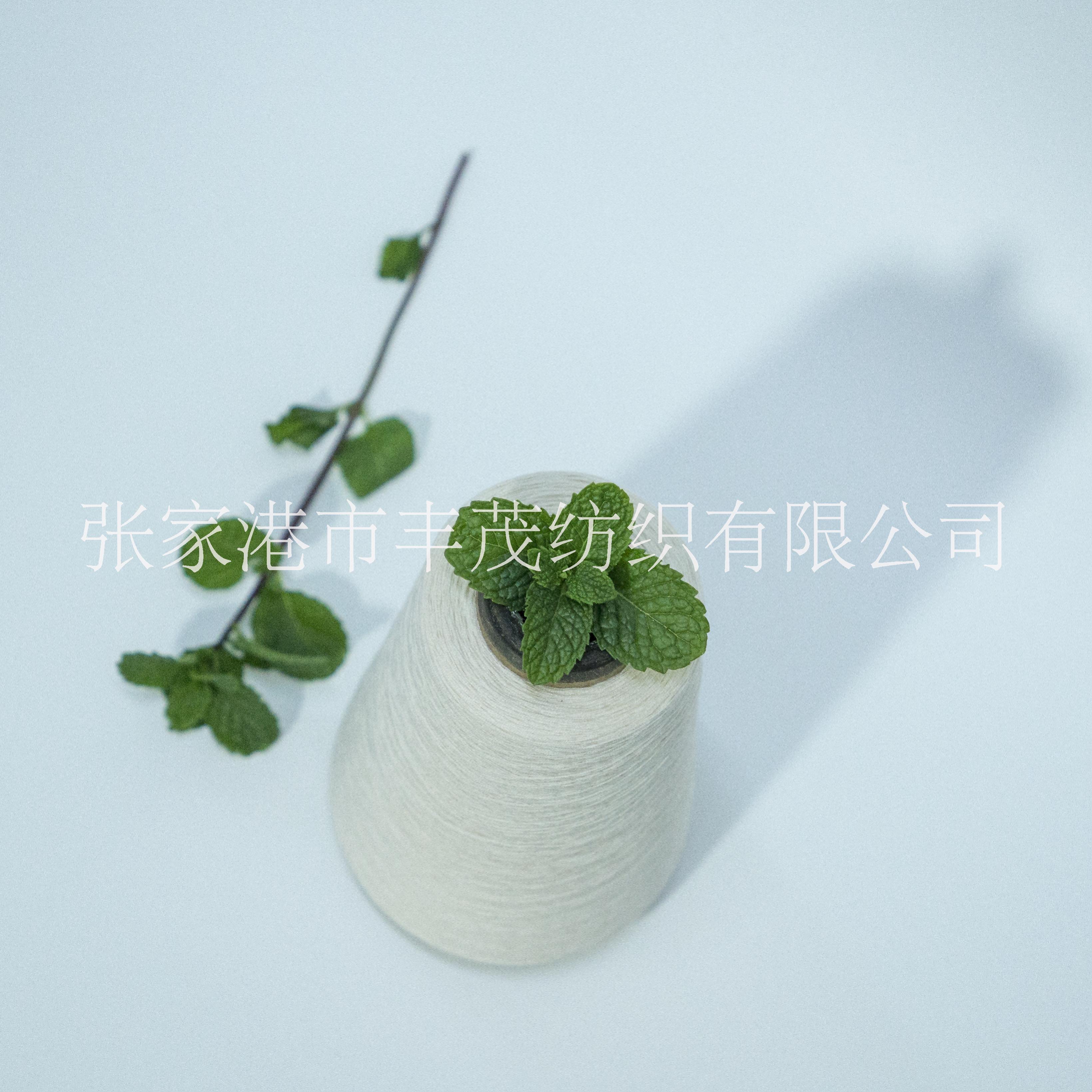 50支薄荷纤维FM3109包芯纱 42天丝30薄荷5绢丝23锦纶 丰茂可定制