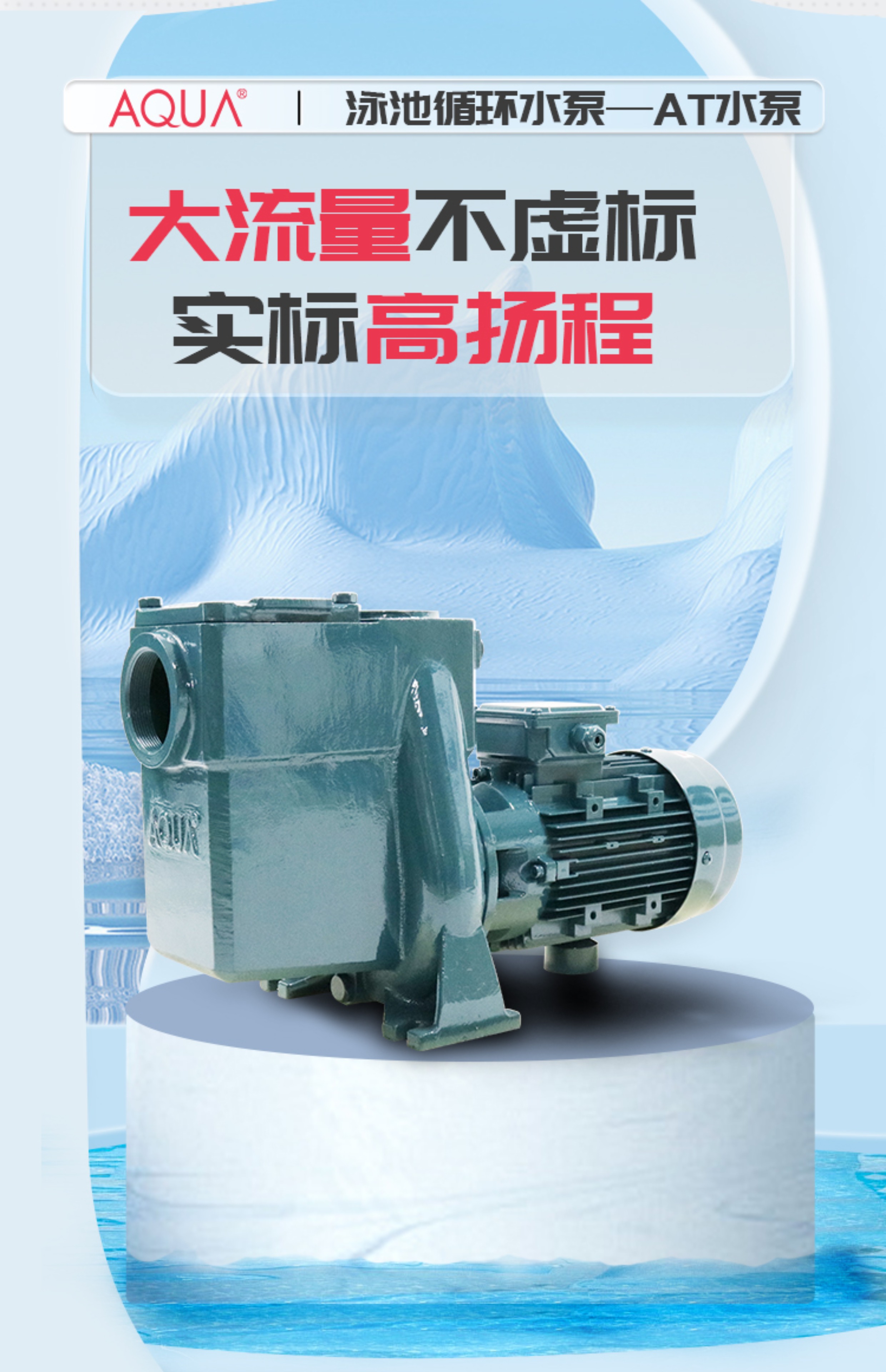 珠海愛克ats鐵泵哪家好 泳池循環(huán)過濾系統(tǒng)多少錢 家用泳池過濾設備安裝