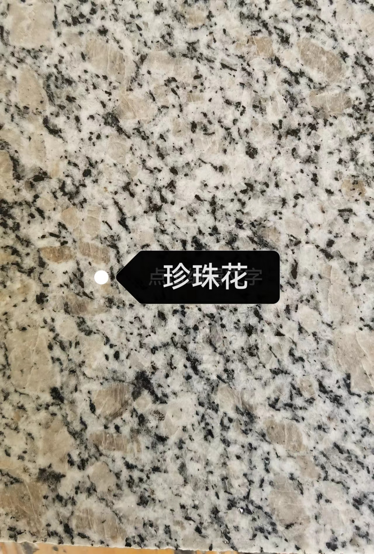 珍珠花石材 珍珠花廠家