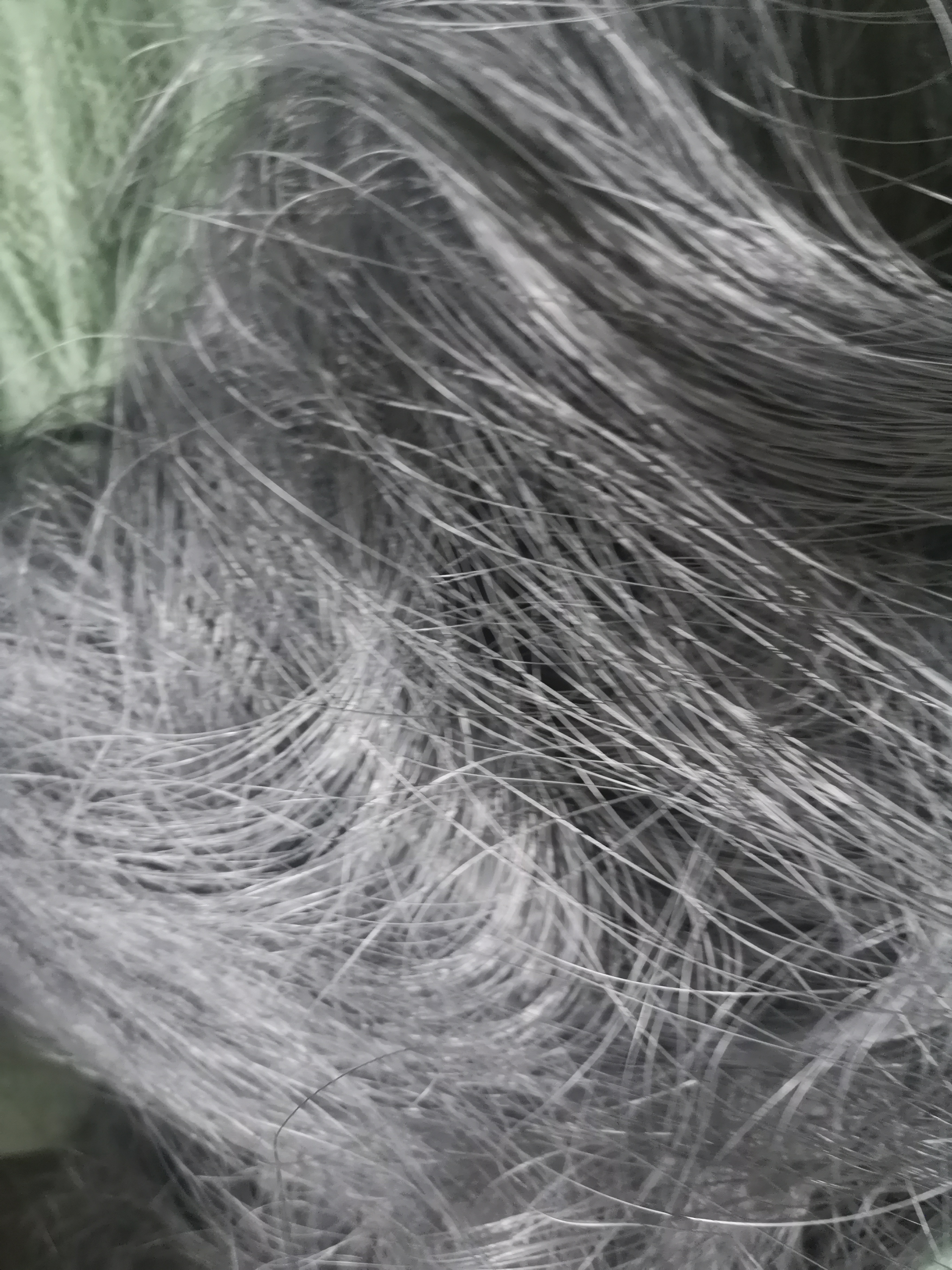 茂名鉬絲回收廠家,鉬絲回收多少錢一公斤,廢鉬絲回收上門,報(bào)價(jià)