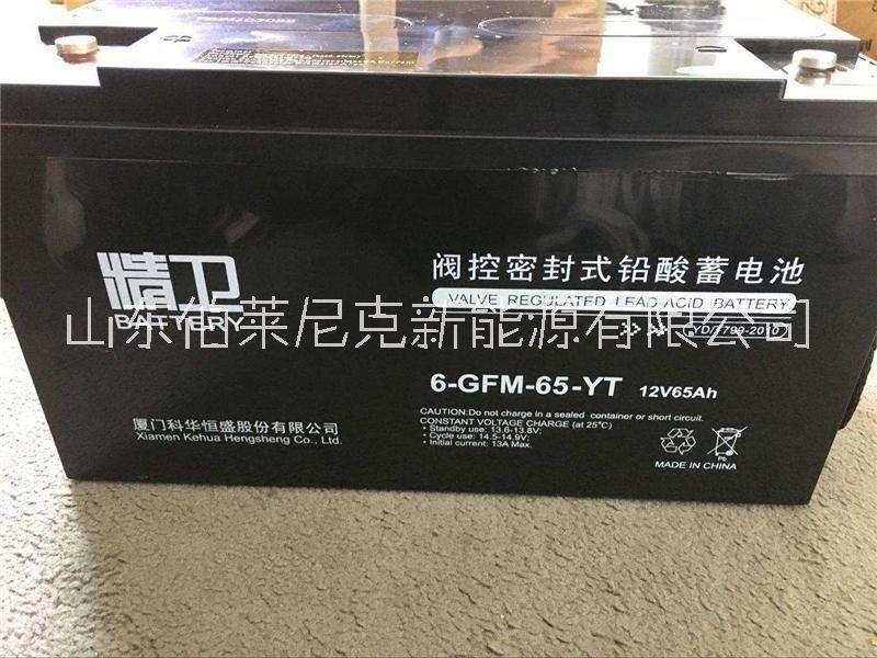 精衛(wèi)蓄電池技術參考6-GFM-65-YT