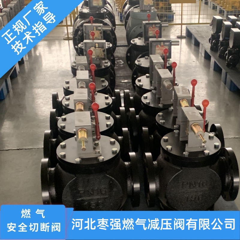 【供應(yīng)】河北燃?xì)馇袛嚅y價(jià)格-河北燃?xì)馇袛嚅y批發(fā)-河北燃?xì)馇袛嚅y廠家【河北棗強(qiáng)燃?xì)鉁p壓閥】