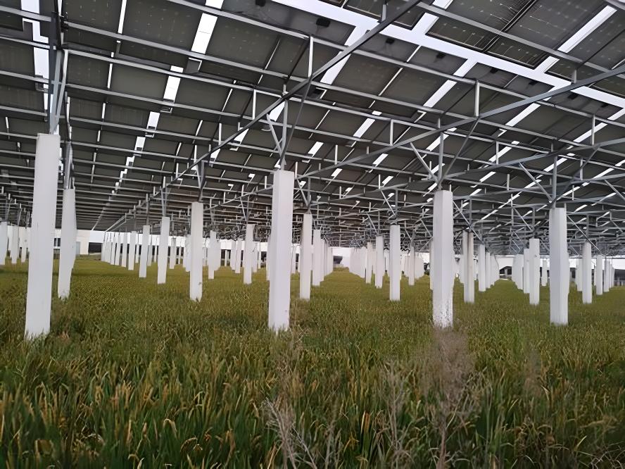 承建各種農(nóng)光互補太陽能發(fā)電站價格-質量保障