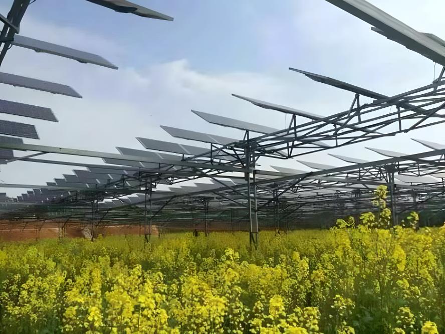 承建各種農(nóng)光互補(bǔ)光伏發(fā)電系統(tǒng)solarpowerstation太陽能發(fā)電-壽命大于25年