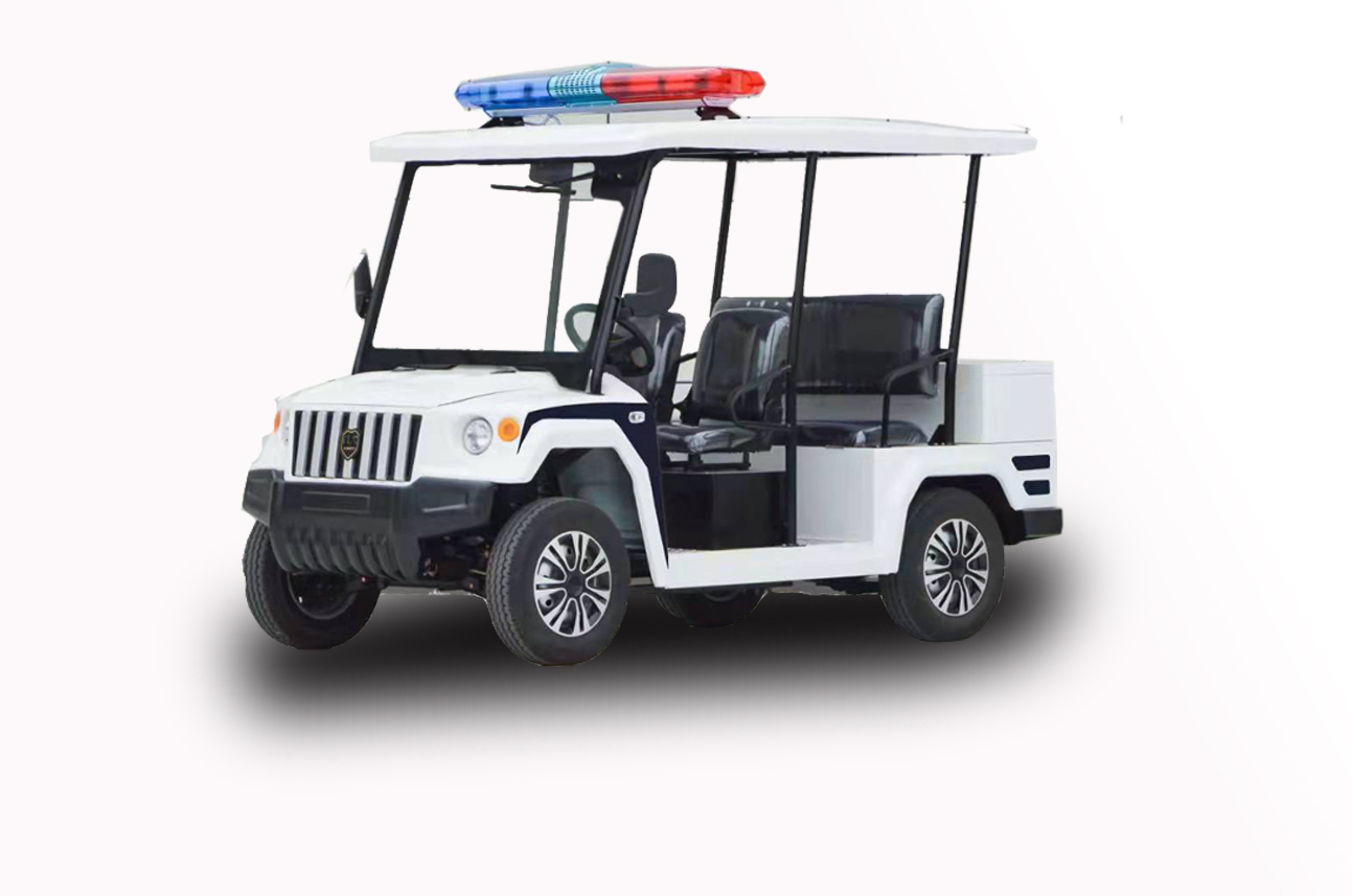 4-6座，電動*，電瓶*， 電瓶安保*廠家制造商