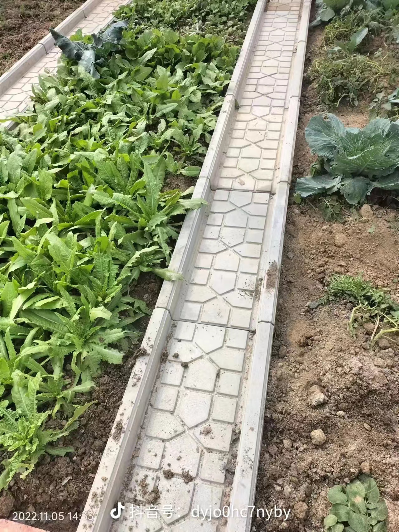 上海菜地溝板廠家，批發(fā)，報價【六安文樂水泥制品有限公司】