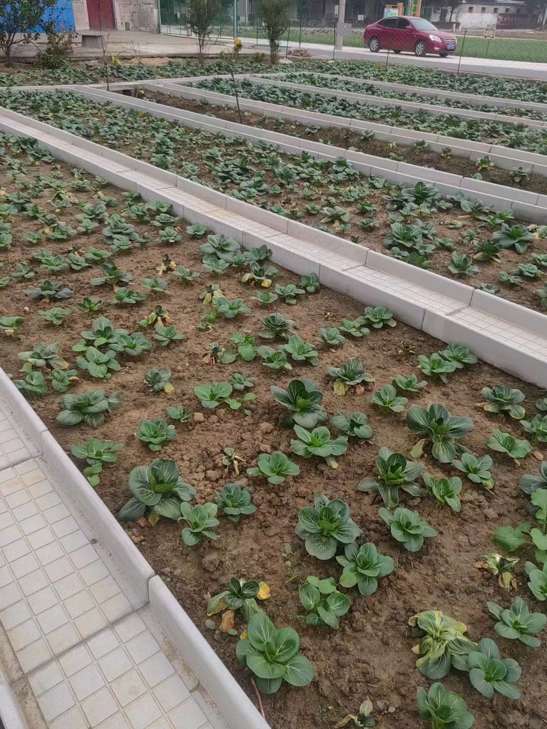 山東菜地溝板廠家，批發(fā)，報(bào)價(jià)【六安文樂水泥制品有限公司】