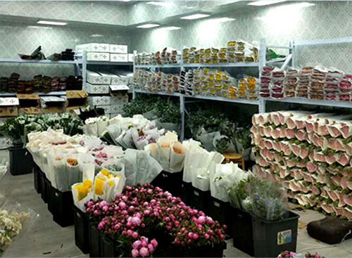 物流冷庫    重慶物流冷庫      物流冷庫哪里有         物流冷庫哪家好