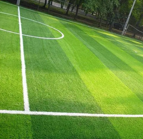 精準(zhǔn)通專(zhuān)業(yè)提供人造草坪檢測(cè)報(bào)告