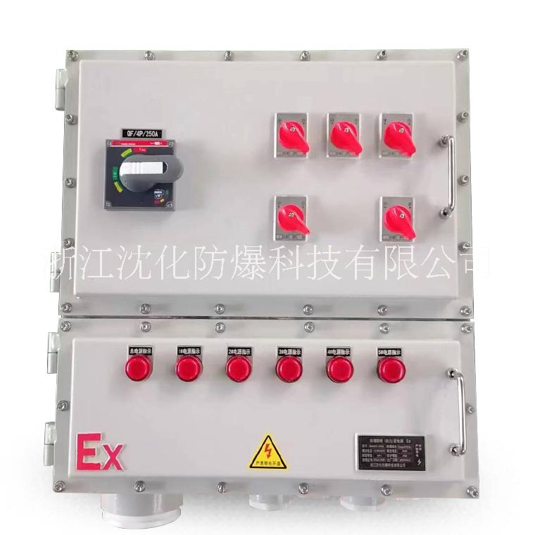 防爆動力配電箱 防爆儀表溫控箱 帶按鍵防爆儀表箱 防爆配電箱