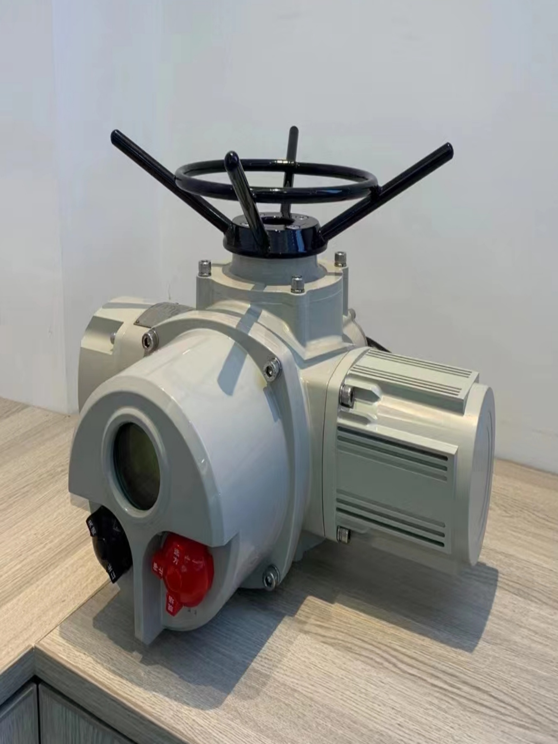 DZW250-24多回轉電動執(zhí)行機構 戶外型閥門電動裝置 電動執(zhí)行器