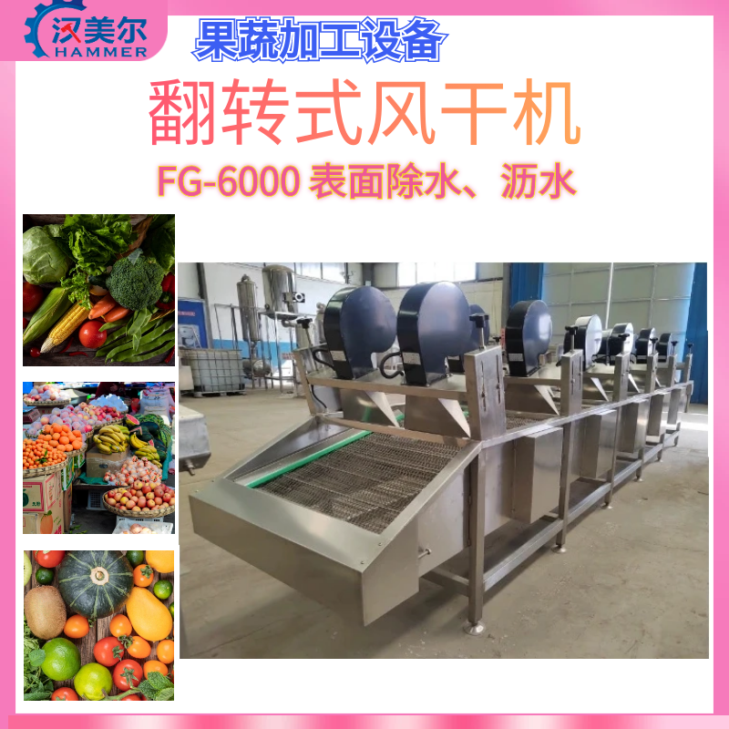 泡椒雞爪翻轉(zhuǎn)式風(fēng)干機(jī) 土豆加工風(fēng)干生產(chǎn)設(shè)備 機(jī)械去除表面水分