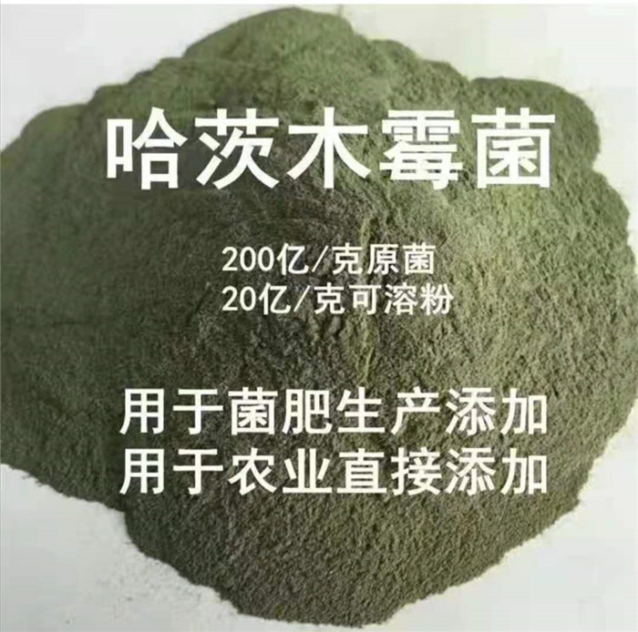 哈茨木霉菌 廠家供應：哈茨木霉菌金山生物廠家供應：哈茨木霉菌