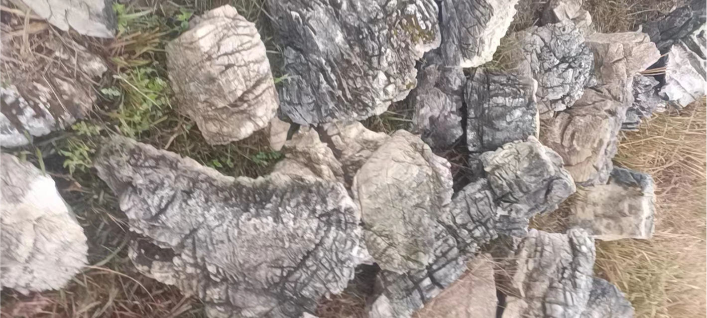 龜紋石   龜紋石價格 多年假山石景觀石制作廠家
