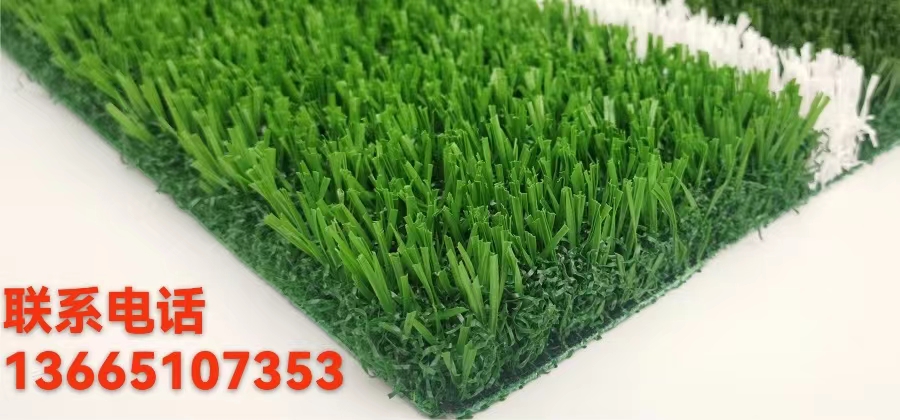 人工草坪廠家,人工草坪批發(fā),人工草坪價(jià)格,人工草坪施工