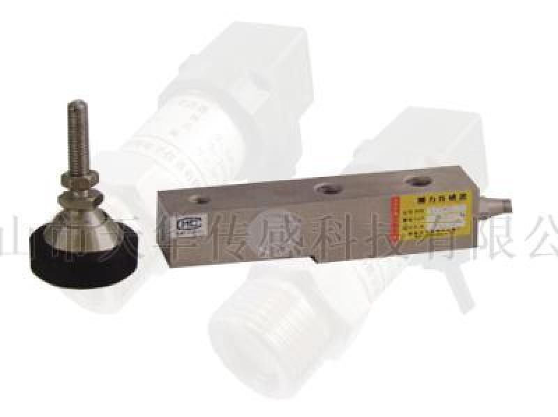 CZB803 懸臂梁式式稱重-生產(chǎn)制造-批發(fā)廠家-現(xiàn)貨供應(yīng)