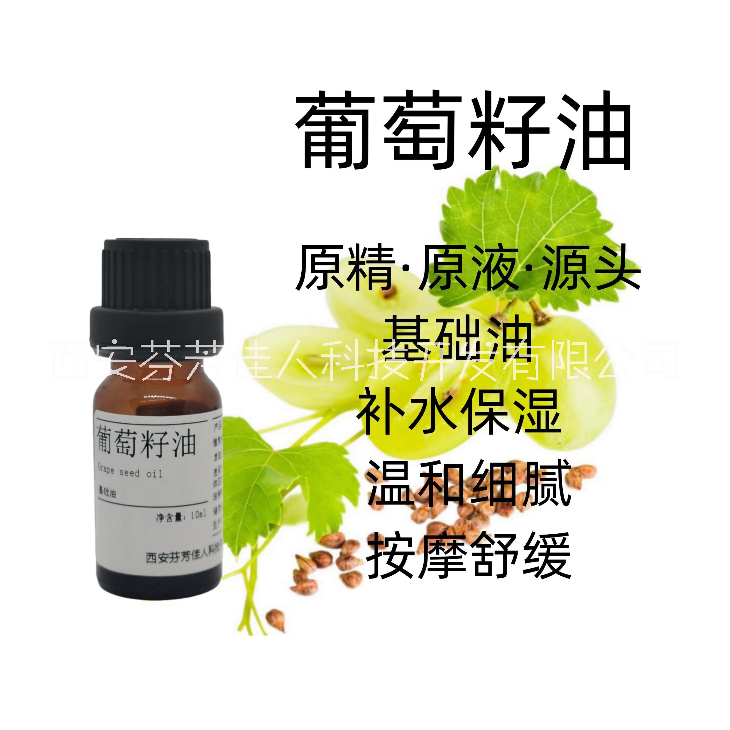 西安芬芳佳人 葡萄籽油 基礎(chǔ)油基底精油 原精護(hù)膚滋潤全身體按摩