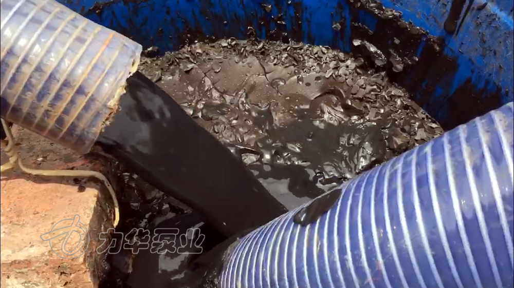 供應(yīng)粘稠污泥泵-力華無(wú)堵塞轉(zhuǎn)子泵