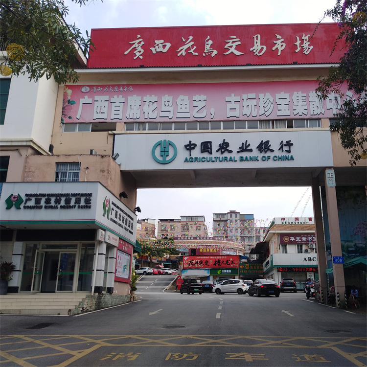 廣西水肥一體化灌溉設(shè)備交易 地址花鳥市場 灌溉管廠家南寧經(jīng)營部 灌溉設(shè)備市場  水肥一體化批發(fā) 水肥機 水肥設(shè)備