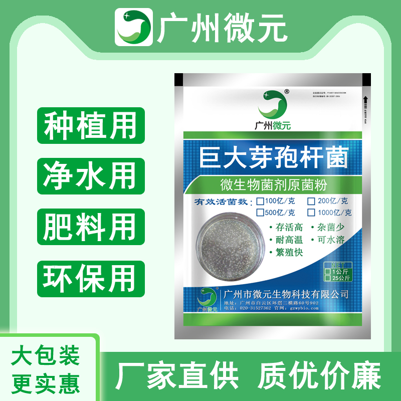 巨大芽孢桿菌1000億/克 巨大芽孢桿菌生物肥料功能菌 農(nóng)用微生物菌劑
