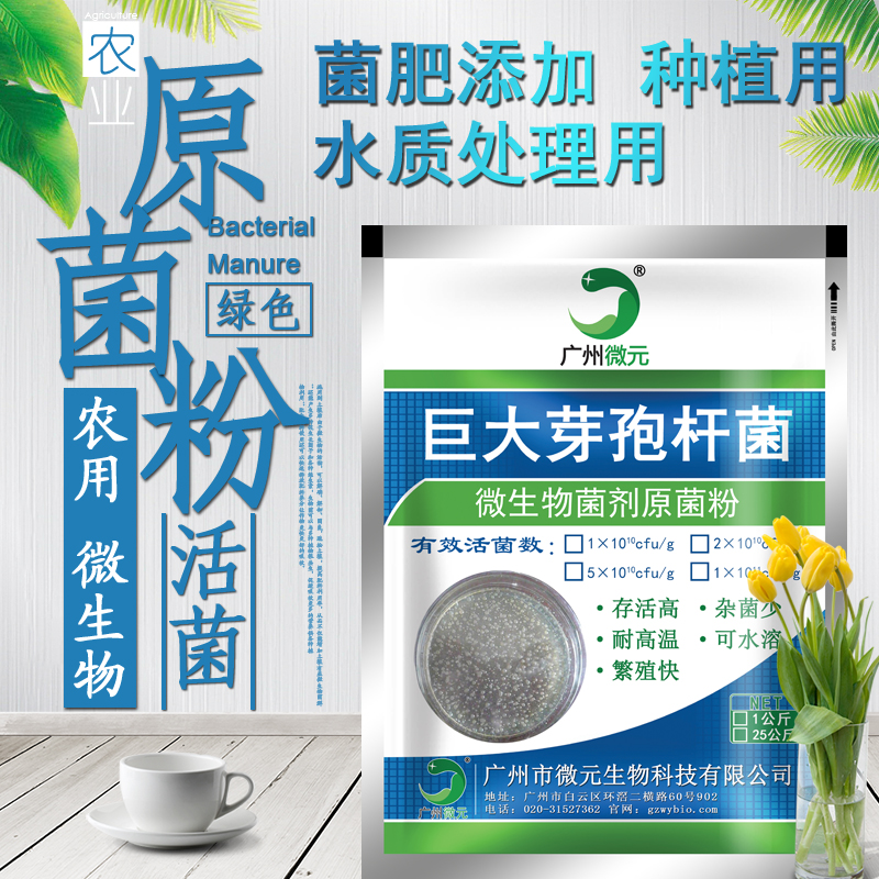 巨大芽孢桿菌1000億/克 巨大芽孢桿菌生物肥料功能菌 農(nóng)用微生物菌劑