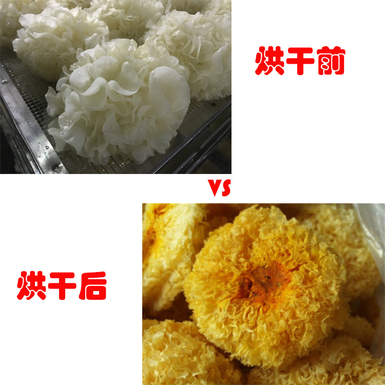銀耳烘干機(jī) 全自動(dòng)箱式除濕機(jī)