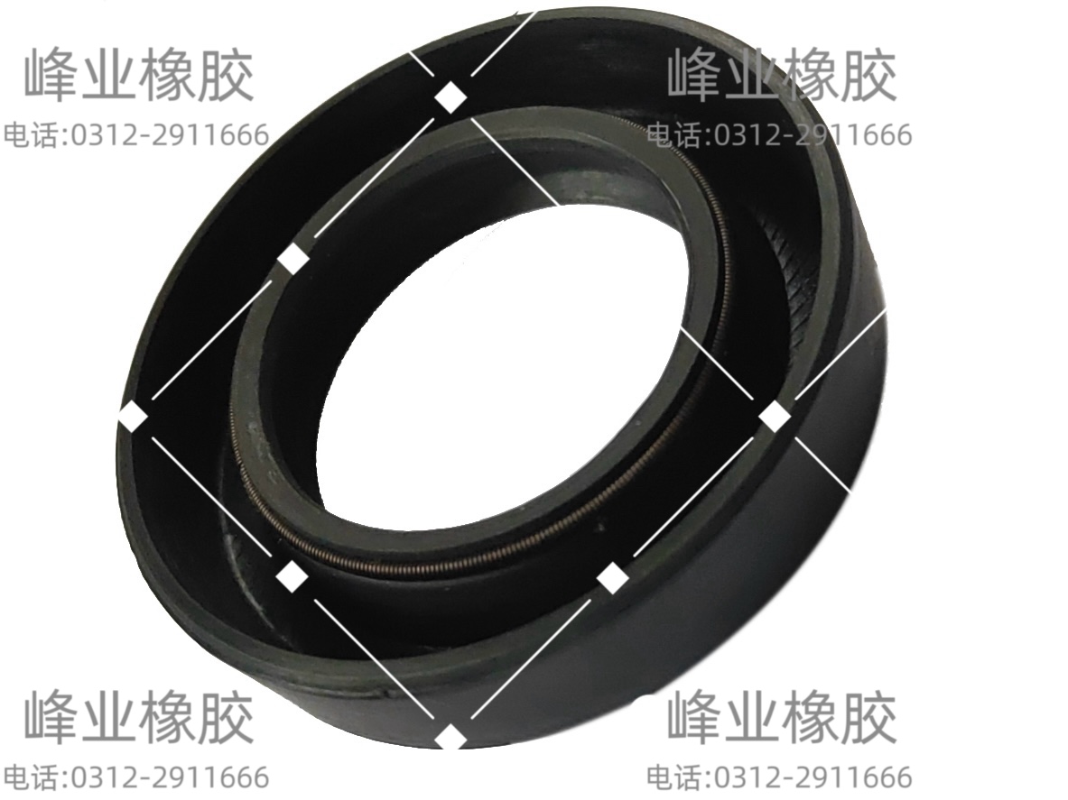 防塵防濺水骨架油封可定制大批量 規(guī)格多樣