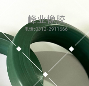 氟膠密封墊氟膠O型圈密封圈丁晴橡膠法蘭墊氟膠墊圈硅膠墊可定制