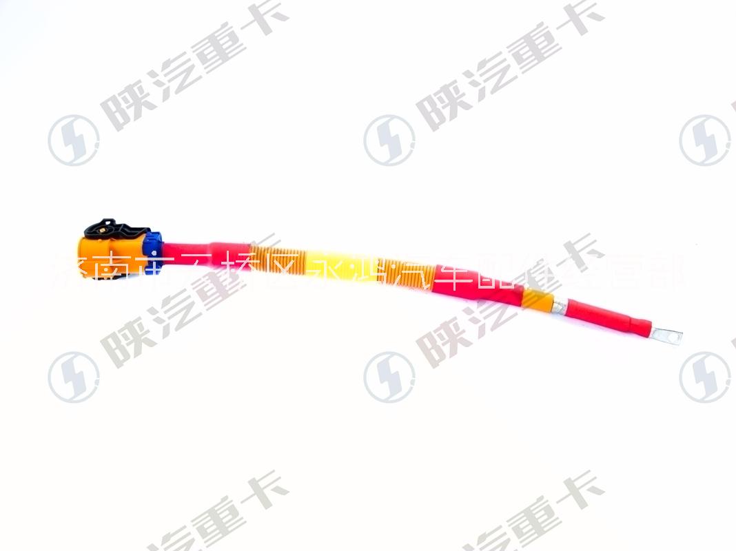 陜汽電動(dòng)車DZ96319781052電箱高壓線/BMS-多合一