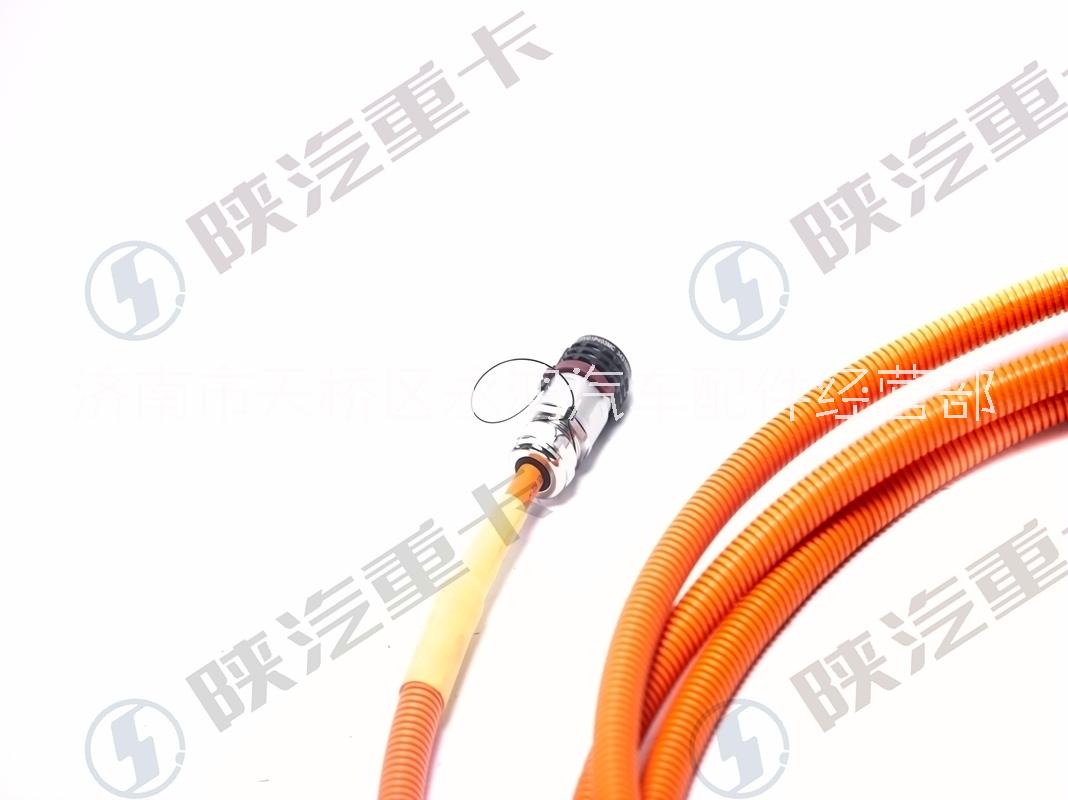 陜汽電動(dòng)車DZ96319781406雙芯高壓線/多合一-PTC