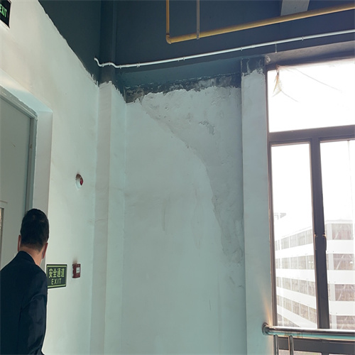 南寧專業(yè)屋面堵漏,水池滲水維修
