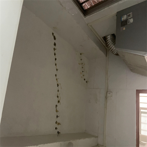 南寧防水補漏咨詢電話,