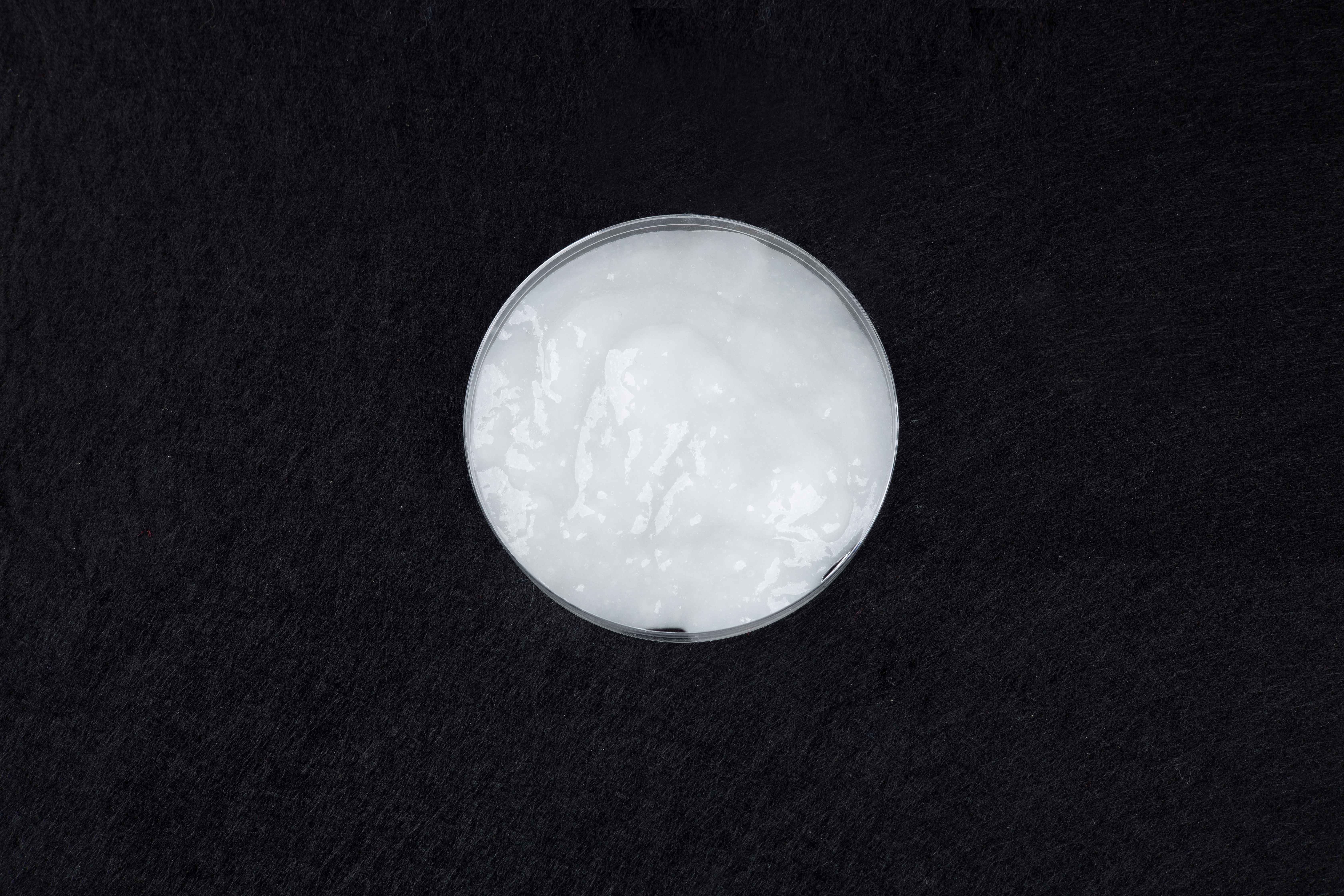纖維素納米纖絲-CNF-天祿納米