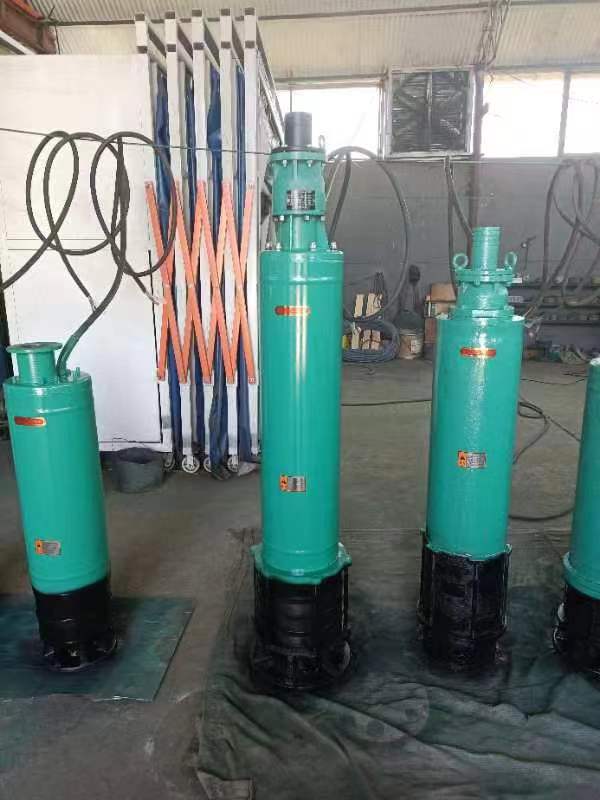 內(nèi)裝式高揚(yáng)程污水泵 WQX12.5-200-18.5kW