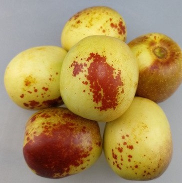 生態(tài)種植 鮮棗鮮香 品嘗純正的自然風味