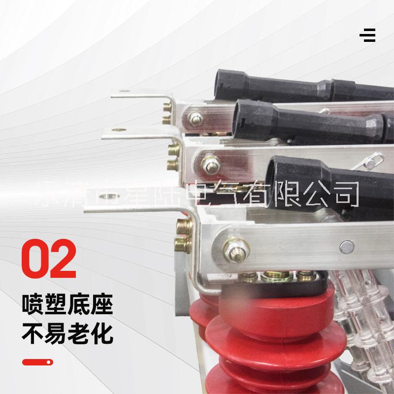FN5-12R/630A戶內(nèi)高壓負(fù)荷開(kāi)關(guān) 10KV負(fù)荷及熔斷器組合開(kāi)關(guān)
