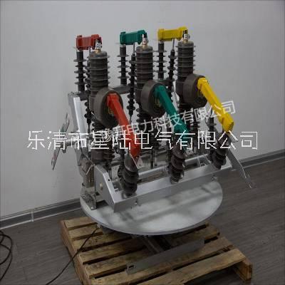 ZW32-12FGG/630A戶外智能雙電源高壓斷路器 10KV雙隔離柱上真空開關(guān)