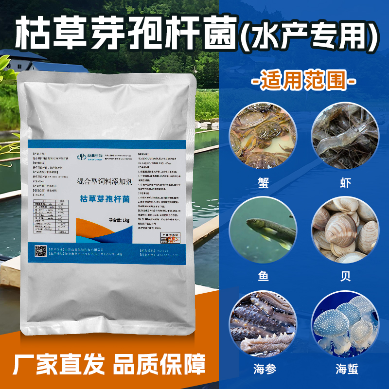 枯草芽孢桿菌水產(chǎn)用菌 100-2000億CFU廠家提供貼牌定制水產(chǎn)飼料添加劑 枯草芽孢桿菌水產(chǎn)型